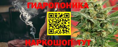 стафф Берёзовский