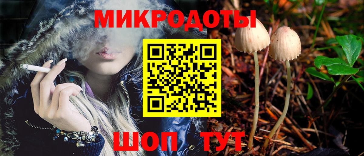 Псилоцибиновые грибы Psilocybine cubensis Калач-на-Дону